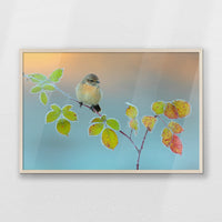 PN-093W062
