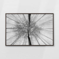 LWN120W080