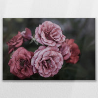 LW-075W050