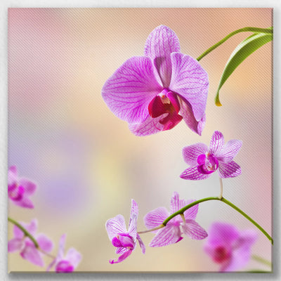 LW-030W030