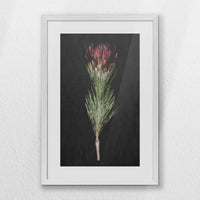PWP040W060