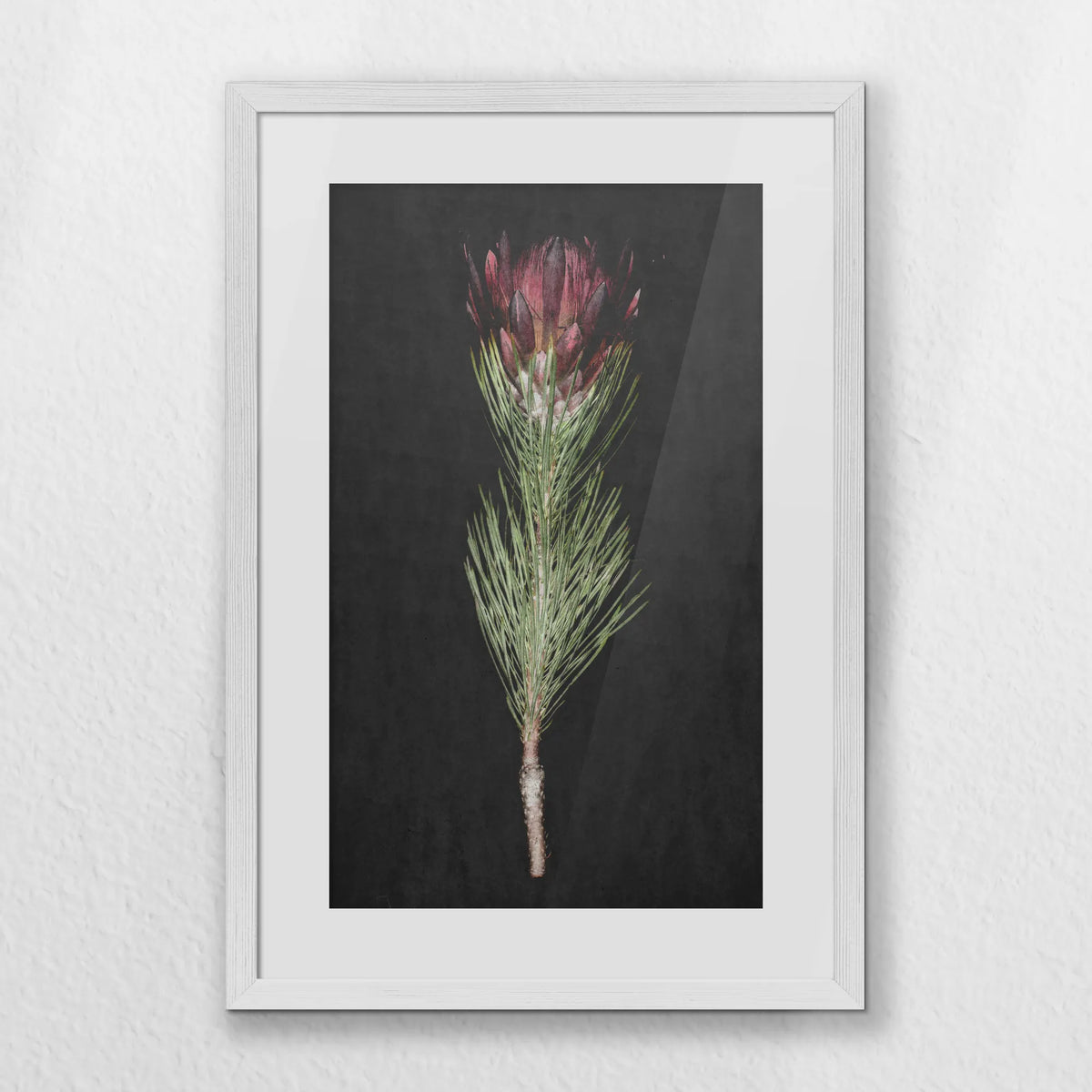 PWP040W060