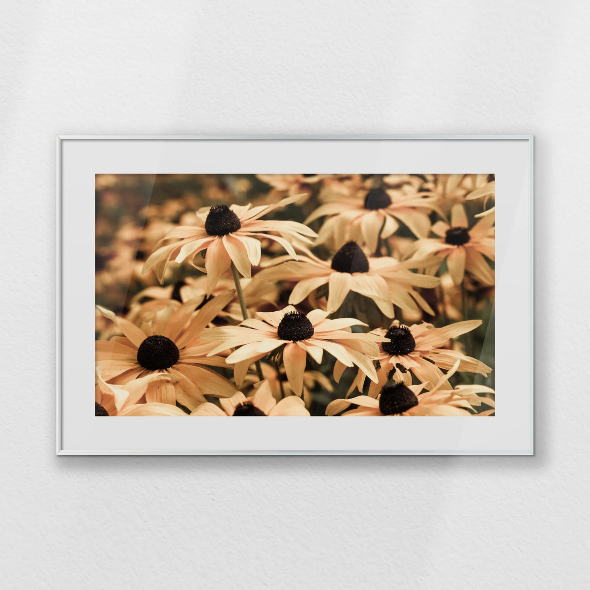 PSP093W062