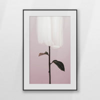 PBP062W093