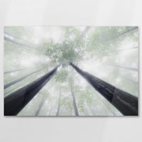 AC-075W050