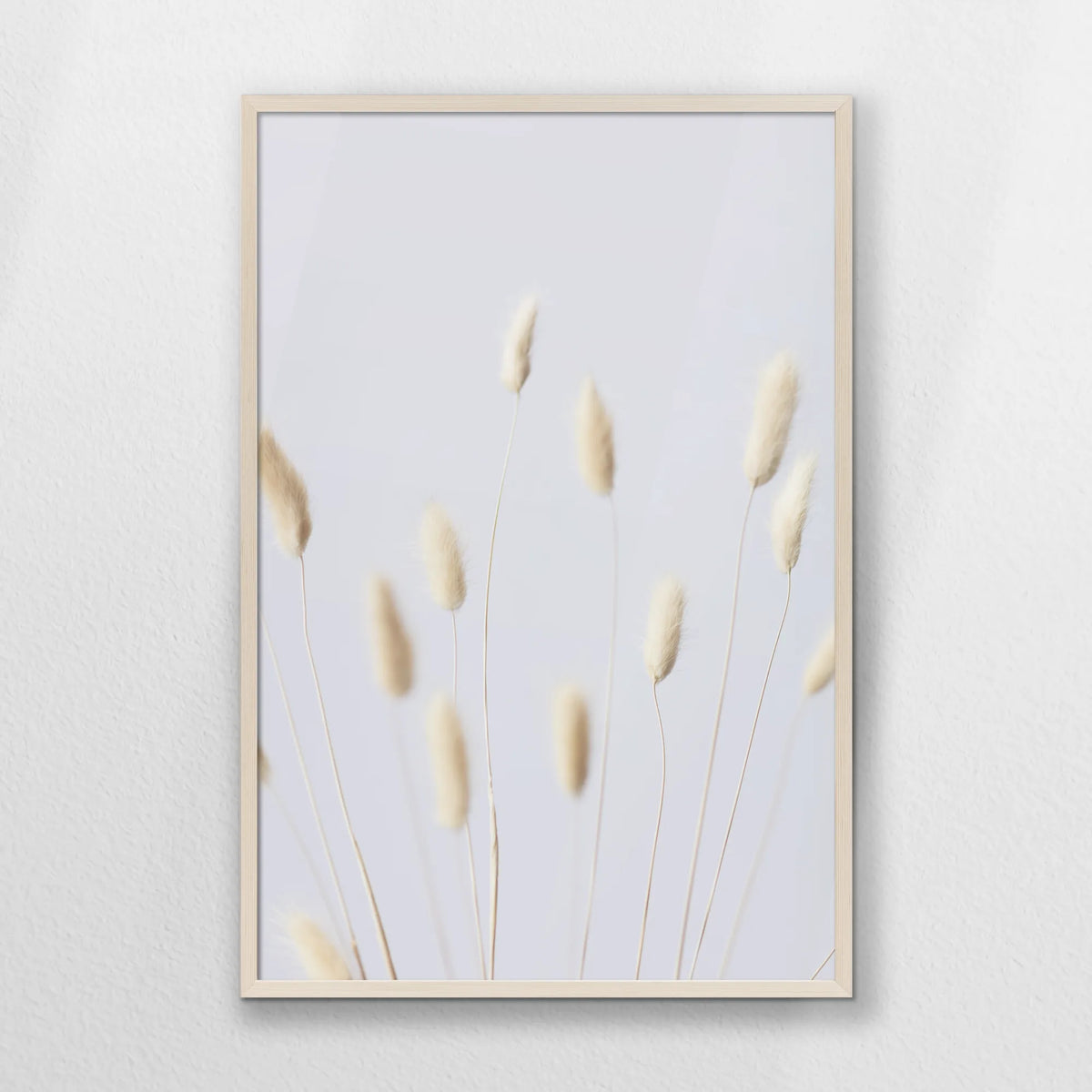 PN-062W093