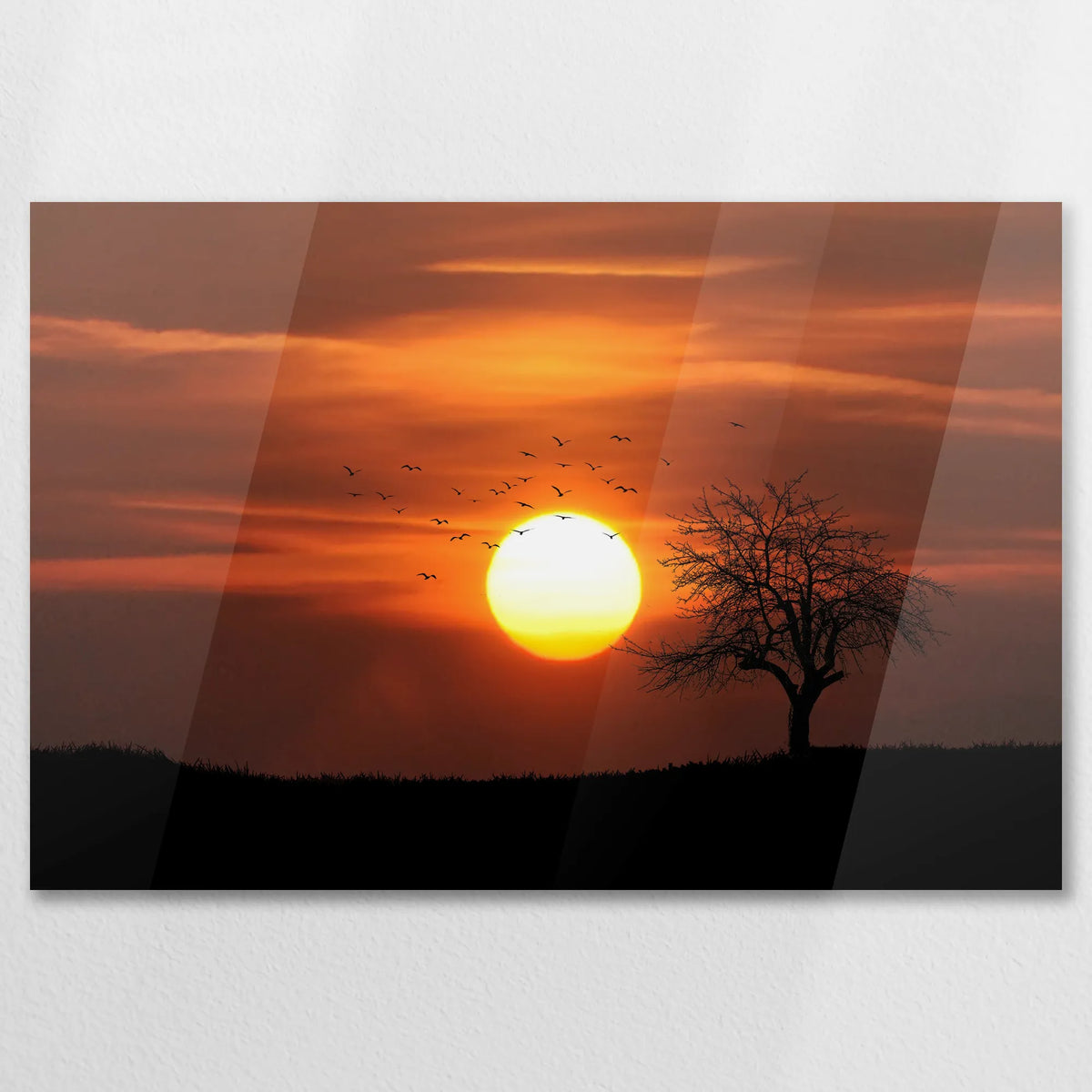 AC-075W050