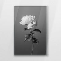 PS-062W093