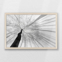 PN-060W040