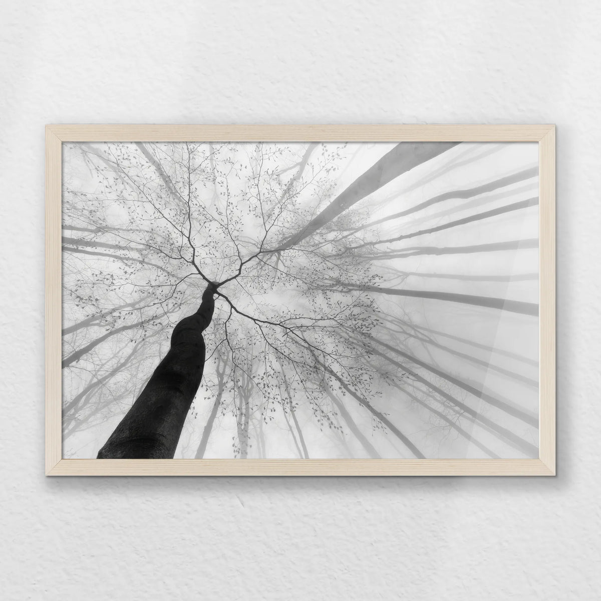 PN-060W040