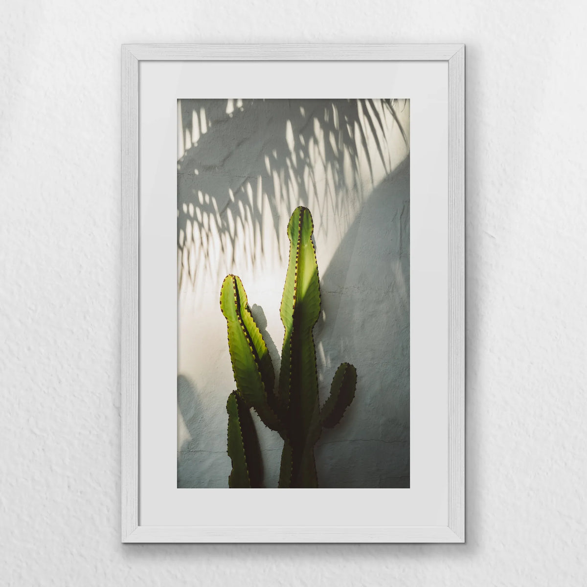 PWP040W060