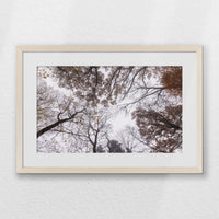 PNP060W040