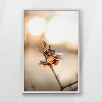 LWW070W100