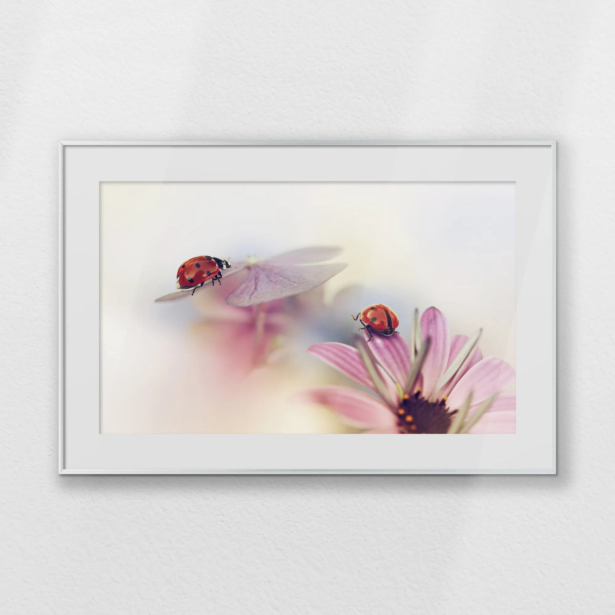 PSP093W062