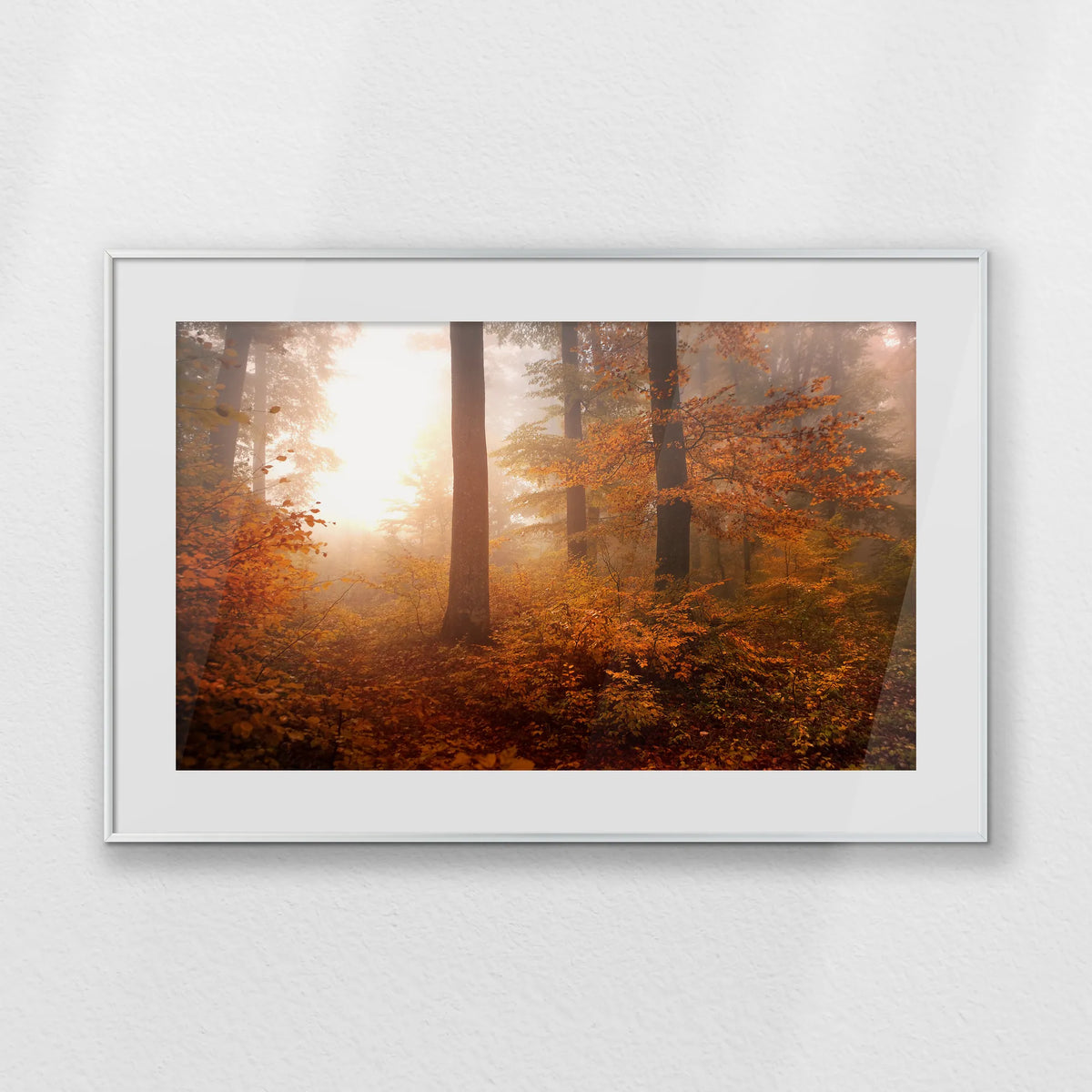 PSP093W062