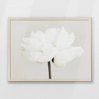 PN-070W050