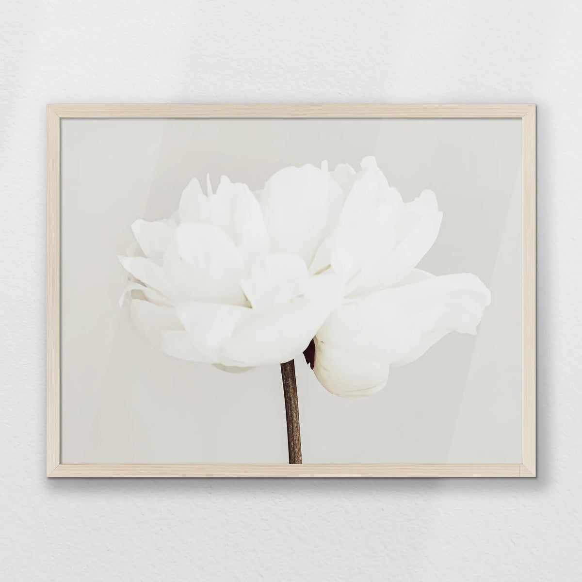 PN-070W050