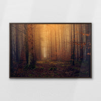 LWN120W080