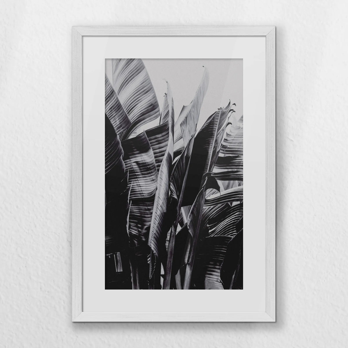 PWP040W060