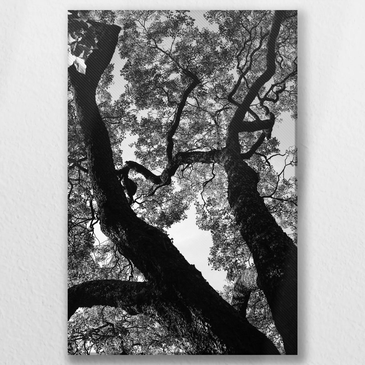 LW-040W060