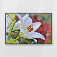 PB-093W062