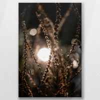 LW-020W030