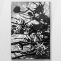 LW-030W045