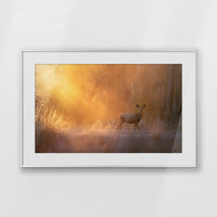 PSP093W062