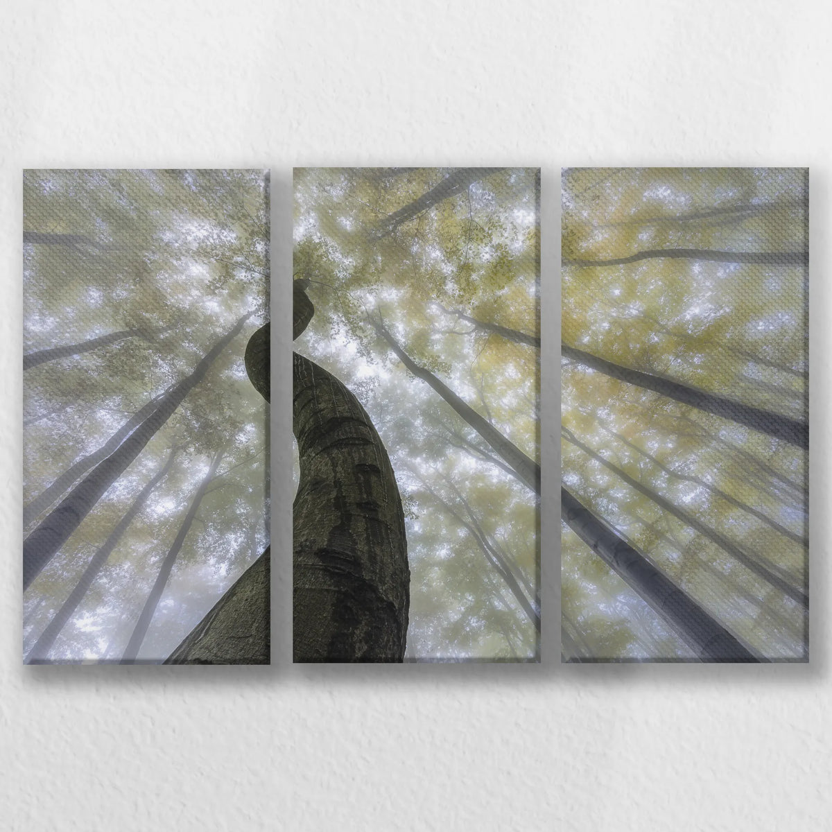 LW-060R040