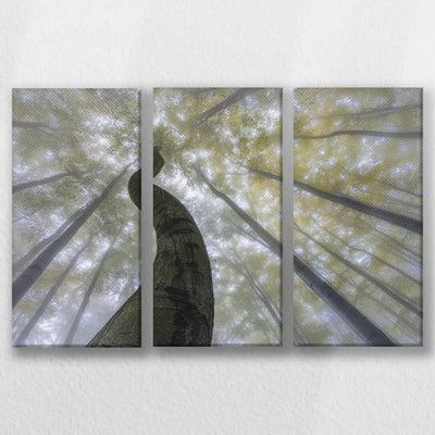 LW-060R040