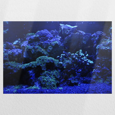 PO-030W020