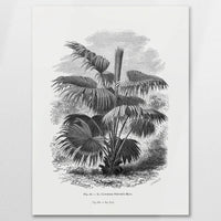 AL-060W080