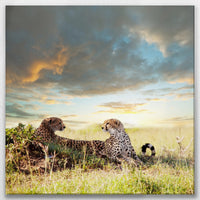 LW-080W080