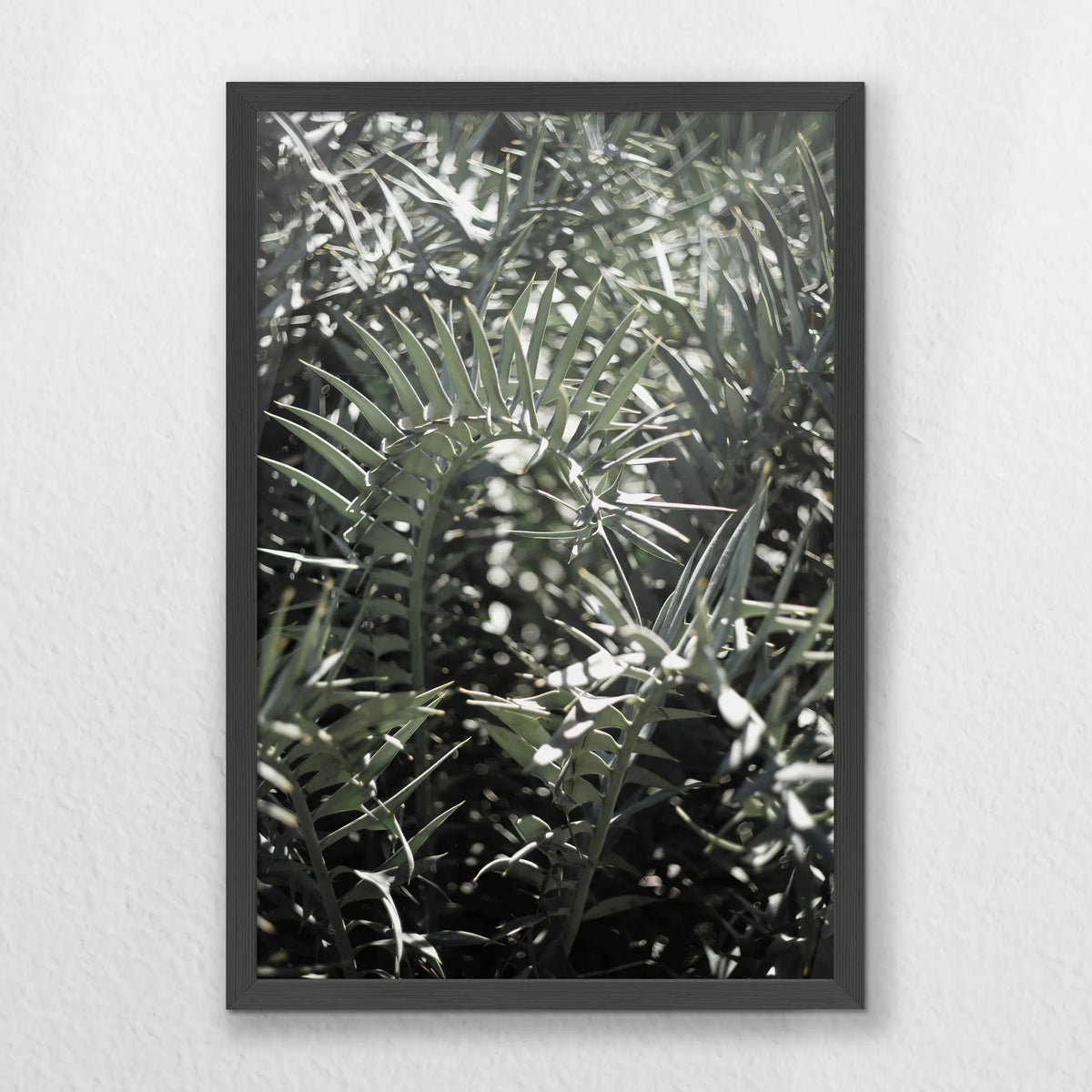 PK-040W060