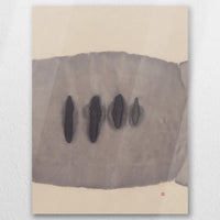 AC-045W060