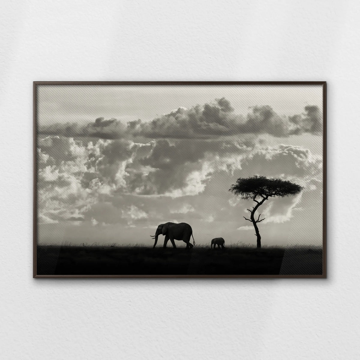 LWN120W080