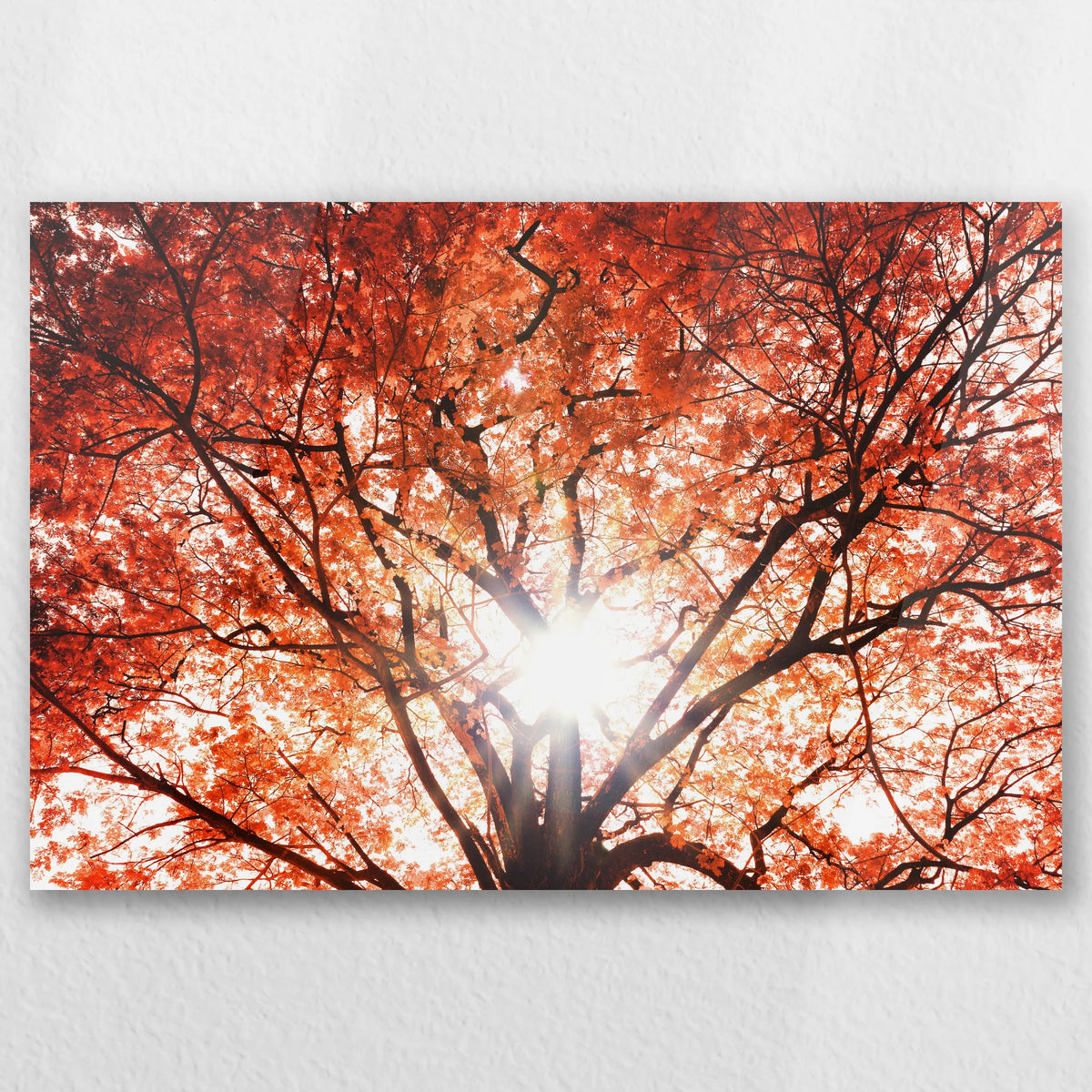 AC-030W020