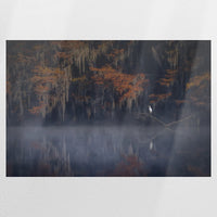 PO-075W050