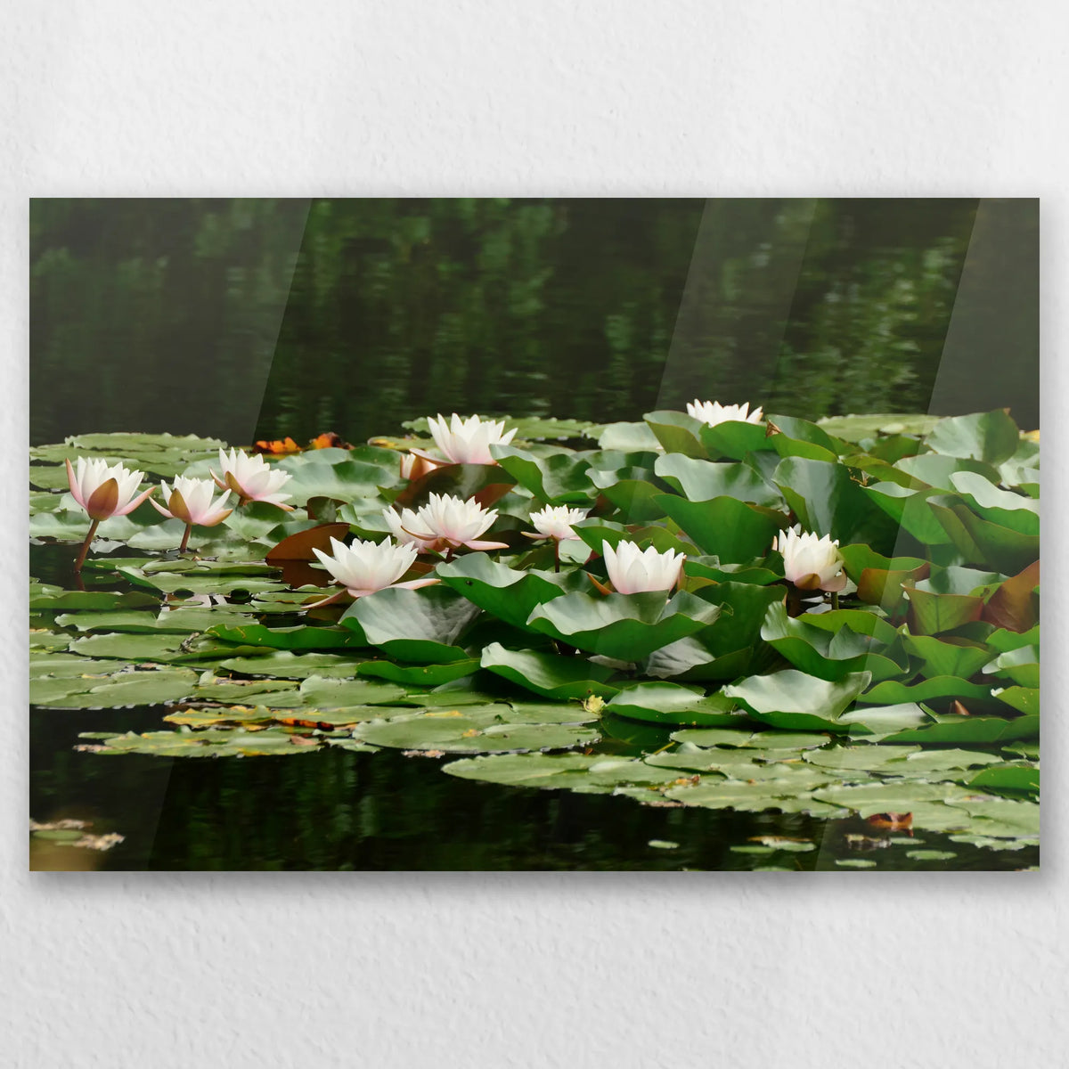 AC-030W020