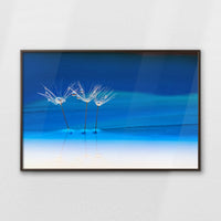 LWN120W080