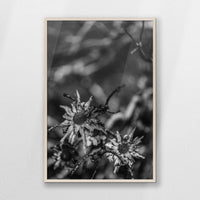 PN-070W100