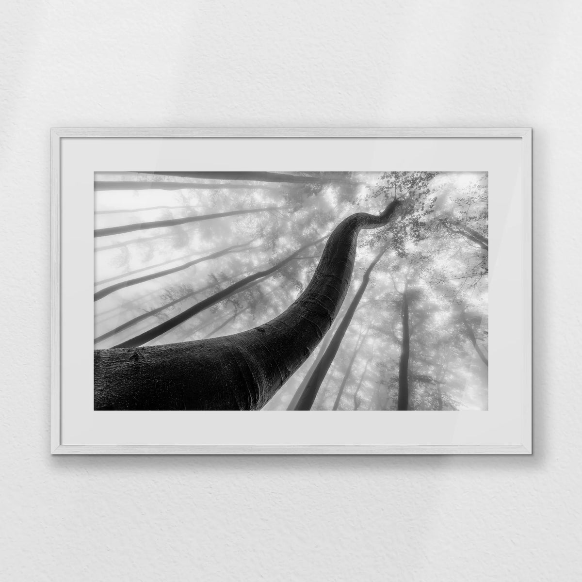 PWP093W062