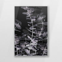 PS-080W120