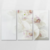 AC-150R100
