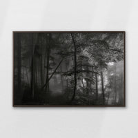 LWN120W080