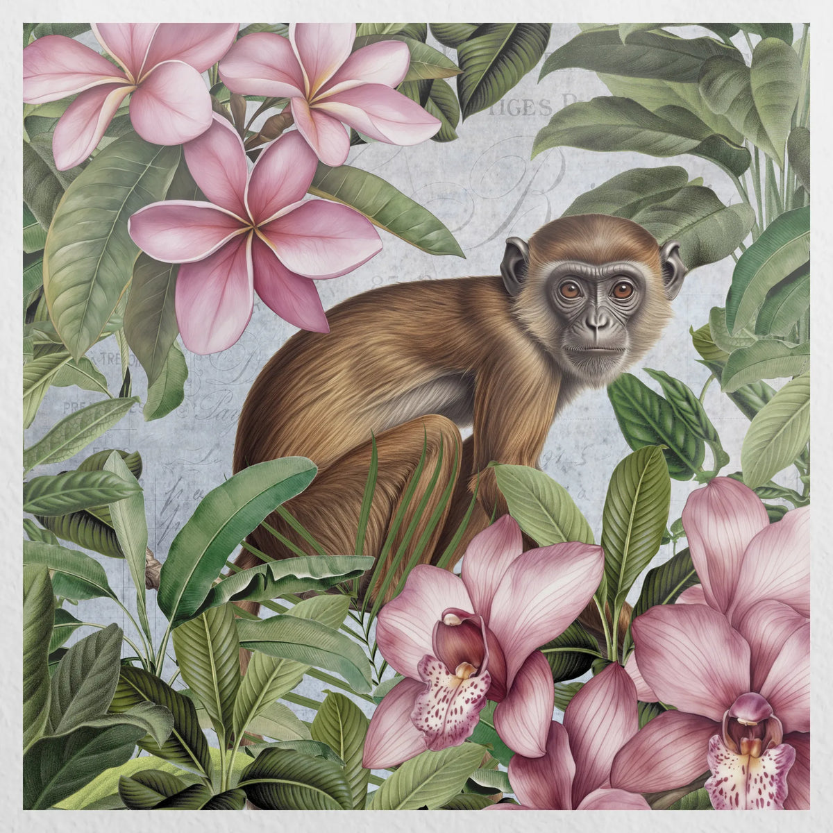 PO-050W050