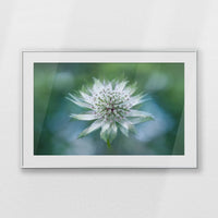 PSP100W070