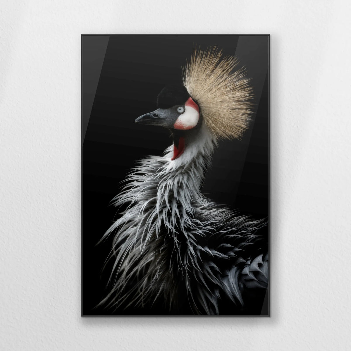 PB-080W120