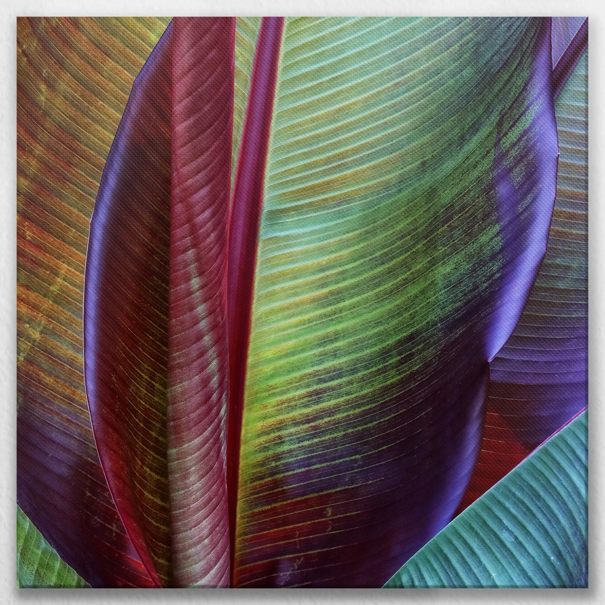 LW-080W080
