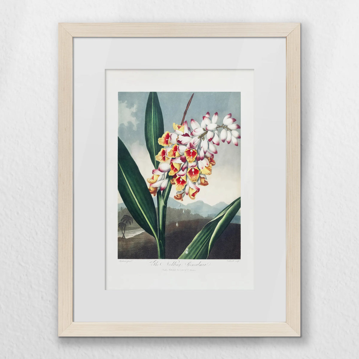 PNP030W040